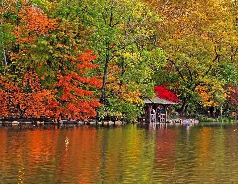 Central Park 布加勒斯特 客房 照片