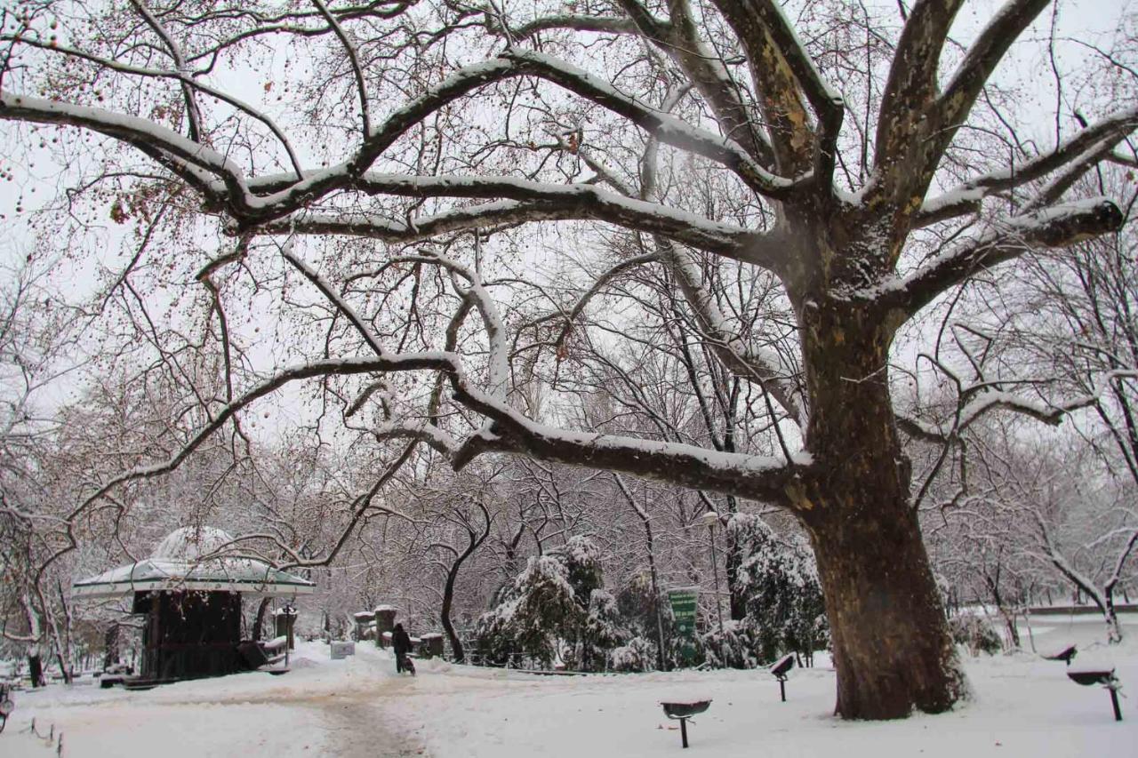 Central Park 布加勒斯特 外观 照片